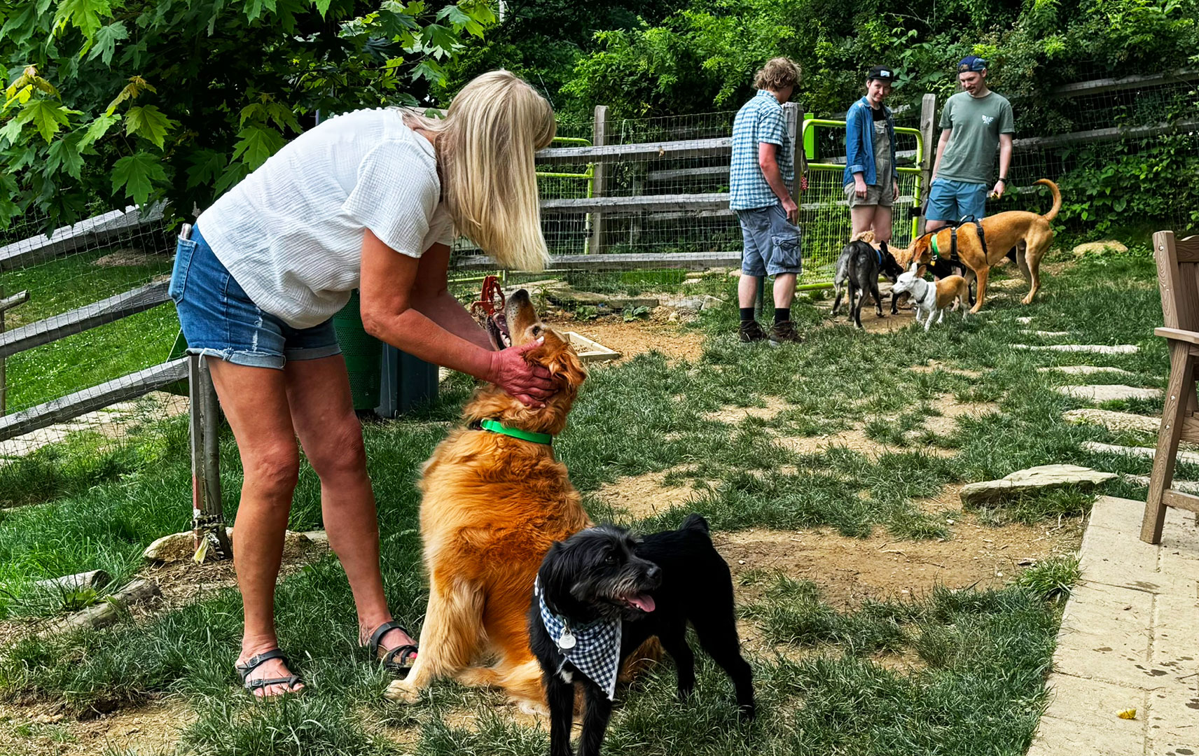 Mountain Dog Coffee Dog Park