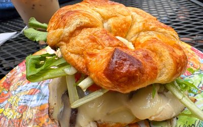 Mountain Dog Coffee Newsletter – 7 March, 2025 | Issue No. 2